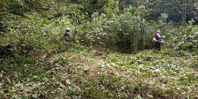 Más de 6.000 metros cuadrados despejados de maleza en el barrio Las Américas
