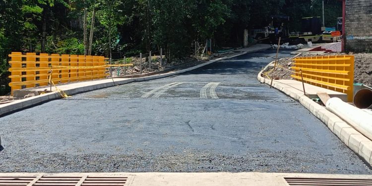 Culminan trabajos de construcción en el puente del parque infantil