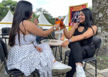 Más de 35 cervecerías artesanales estarán en el Beerllavo Fest