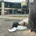 En septiembre comenzarán a aplicar multas por arrojar basura en las calles de Villavicencio