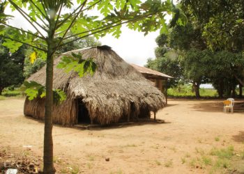 Disidencias de las Farc amenazan a diez pueblos indígenas del Casanare según Defensoría