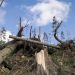 Comunidad denuncia deforestación masiva en San José del Guaviare