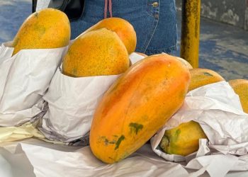 Gobierno municipal invita a comprar productos de transportadores atrapados en el paro