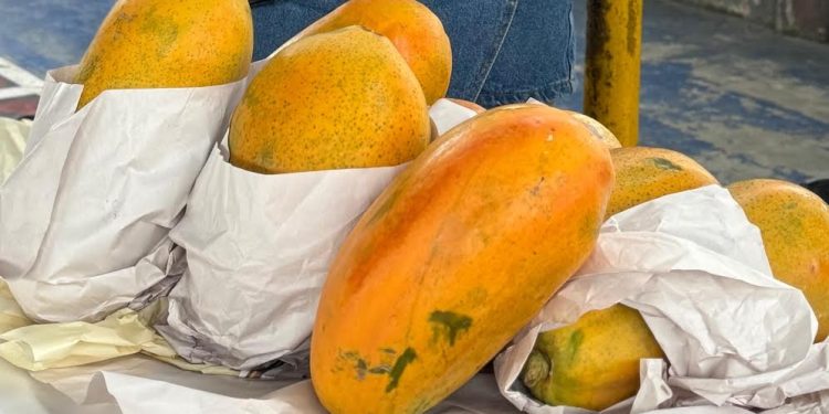 Gobierno municipal invita a comprar productos de transportadores atrapados en el paro