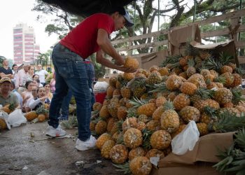 Más de $8 millones, se vendieron en el “Mercado Campesino Express”, en apoyo a los agricultores afectados por paro nacional de camioneros