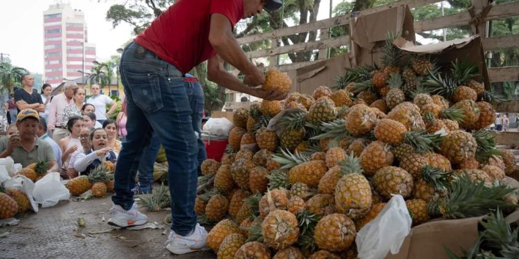 Más de $8 millones, se vendieron en el “Mercado Campesino Express”, en apoyo a los agricultores afectados por paro nacional de camioneros