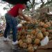 Más de $8 millones, se vendieron en el “Mercado Campesino Express”, en apoyo a los agricultores afectados por paro nacional de camioneros