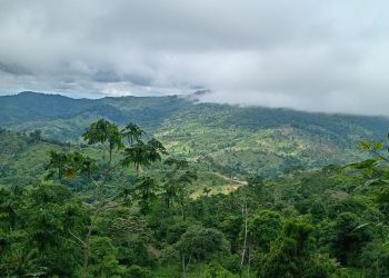 29.400 hectáreas serán declaradas Zona de Reserva Campesina en Urabá, Antioquia.