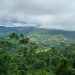 29.400 hectáreas serán declaradas Zona de Reserva Campesina en Urabá, Antioquia.
