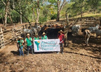 Maratón ‘Tierras Productivas’: ANT entregóinsumos agrícolas, ganado, maquinaria y herramientas por más de $3.000 millones
