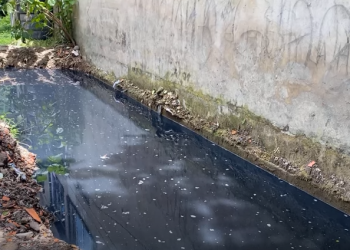 Acción Popular contra Corporinoquia, la Alcaldía de Yopal y la SAE por contaminación al canal La Milagrosa