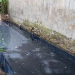 Acción Popular contra Corporinoquia, la Alcaldía de Yopal y la SAE por contaminación al canal La Milagrosa
