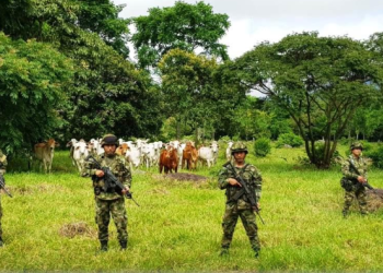 Continúan operaciones contra disidencias de las FARC en Támara y Sácama