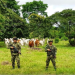 Continúan operaciones contra disidencias de las FARC en Támara y Sácama