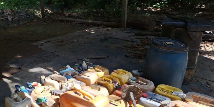 Operaciones en Vichada impactan las finanzas de grupos narcotraficantes