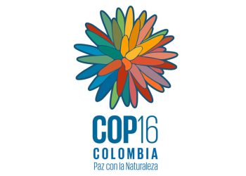 Villavicencio tendrá representación juvenil en la COP16