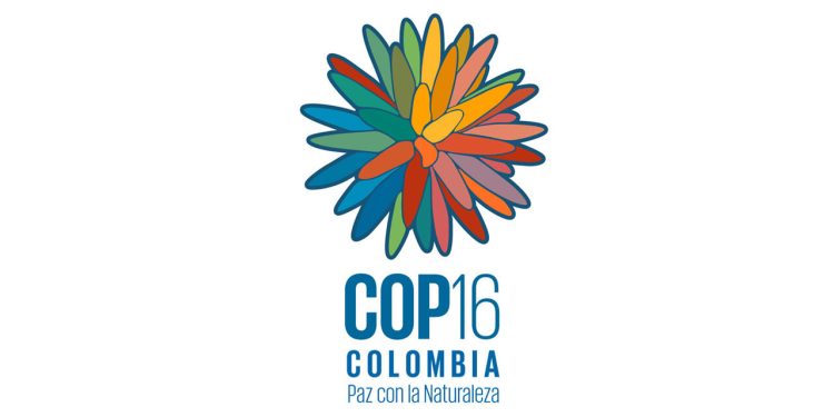 Villavicencio tendrá representación juvenil en la COP16