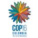 Villavicencio tendrá representación juvenil en la COP16