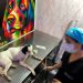 Inicia investigación por violento ataque a un canino en Villas del Ocoa