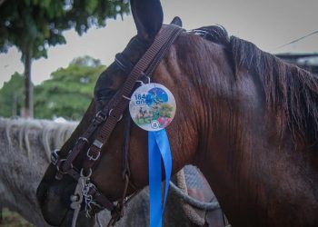 Multas cercanas a 700.000 pesos se podrían aplicar a infractores en la cabalgata del festival llanero