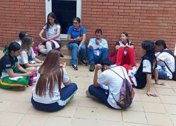 Estrategia para evitar suicidios en V/cio