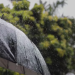 Inundaciones y granizadas afectan a varios municipios de Cundinamarca