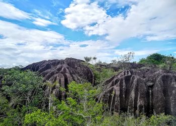 Reserva de Biósfera El Tuparro (RBET): oportunidades para un Vichada sostenible