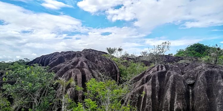 Reserva de Biósfera El Tuparro (RBET): oportunidades para un Vichada sostenible