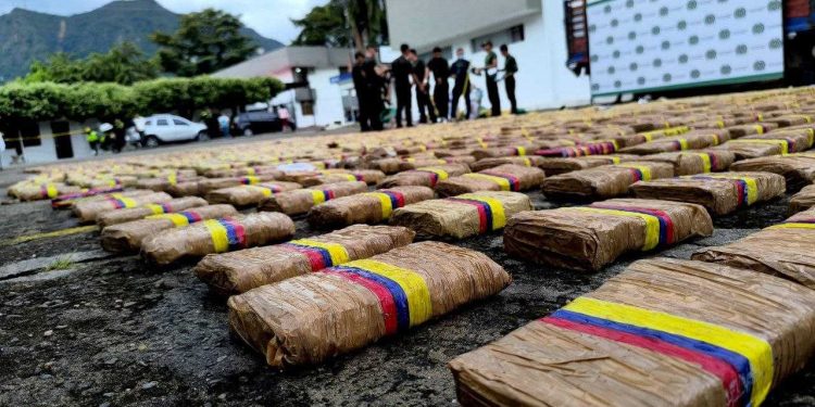 Incautados 40 kilos de marihuana en empresa de mensajería de Yopal