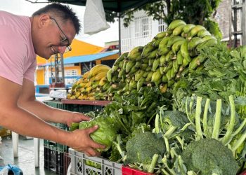 Mercado campesino una opción económica para las familias