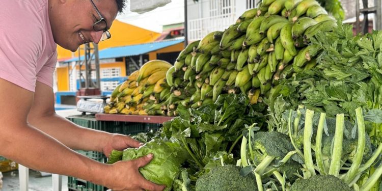 Mercado campesino una opción económica para las familias
