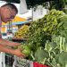 Mercado campesino una opción económica para las familias