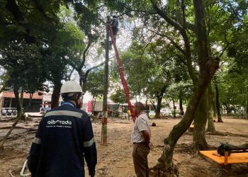 Instalarán nuevas lámparas en parque del barrio El Estero