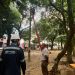 Instalarán nuevas lámparas en parque del barrio El Estero