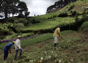 Comunidad Zenú y ANT acuerdan entrega de tierras en San Antonio de Palmito, Sucre