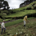Comunidad Zenú y ANT acuerdan entrega de tierras en San Antonio de Palmito, Sucre