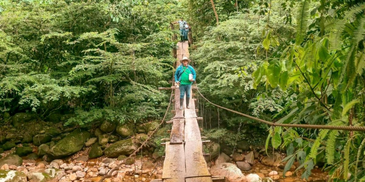 ANT estudiará 15 mil hectáreas en Arauca para adjudicación a comunidades campesinas