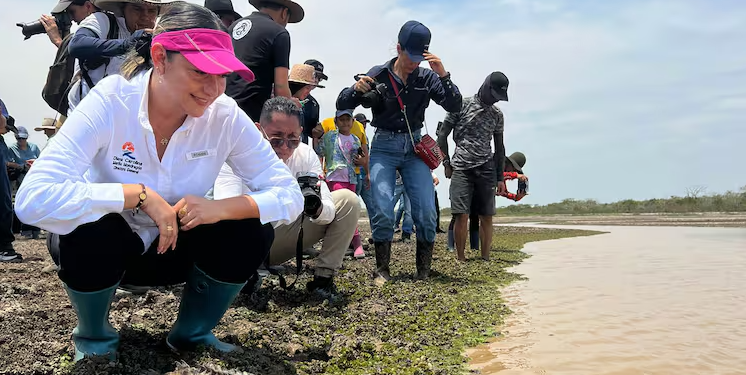 Liberan a 40 caimanes llaneros en una reserva natural de Casanare