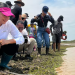 Liberan a 40 caimanes llaneros en una reserva natural de Casanare