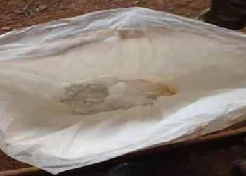 Ejército Nacional asesta un contundente golpe al narcotráfico en el Guaviare y desmantelados dos laboratorios de cocaína