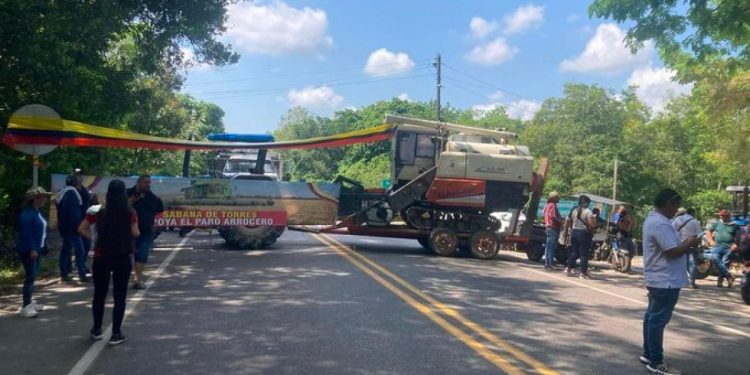 En Casanare el paro arrocero continúa, según voceros del gremio