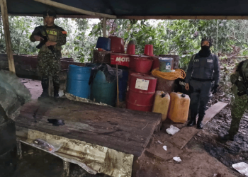 Ejército destruyó 42 laboratorios de coca en Guaviare y Meta