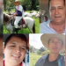 Reportan secuestro masivo de ganaderos entre Casanare y Arauca
