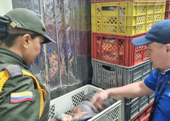 Policía incautó 59 kilos de pescado no aptos para consumo en Villavicencio