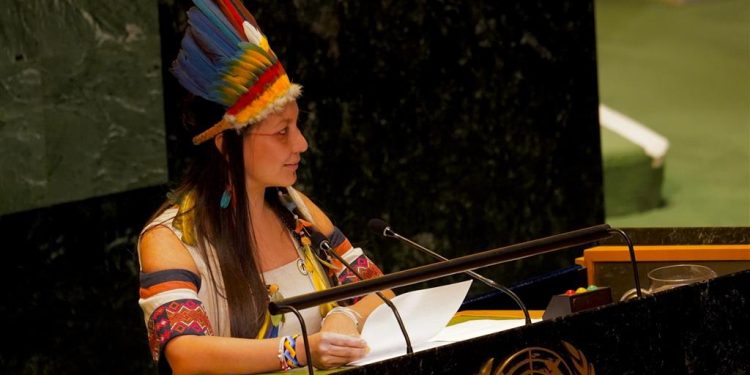 Desde la ONU, ministra de Ambiente hace un llamado al mundo por la acción global, la unión y el conocimiento indígena