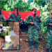 ELN confirma secuestro de ganaderos en Arauca y Casanare y lanza advertencia sobre operaciones militares