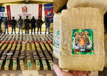En Casanare incautan cargamento de cocaína y marihuana avaluado en $5.800 millones