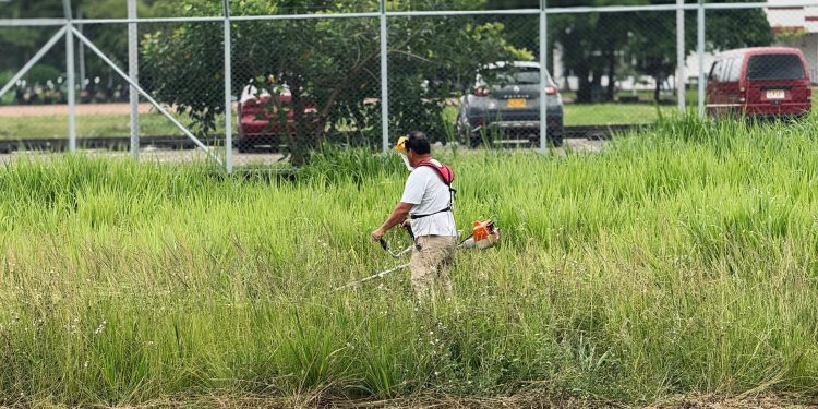 Gobernación del Meta avanza con paso firme recuperación de la Planta Hortofrutícola de Granada