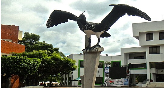 Municipio de Arauca en crisis fiscal: Minhacienda alerta sobre déficit y caída en ingresos
