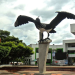 Municipio de Arauca en crisis fiscal: Minhacienda alerta sobre déficit y caída en ingresos